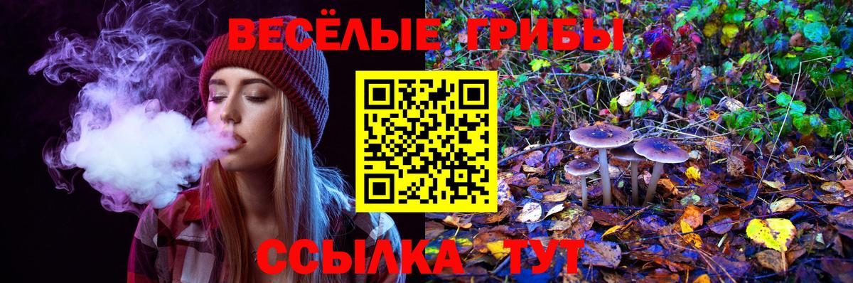 Псилоцибиновые грибы Magic Shrooms Видное